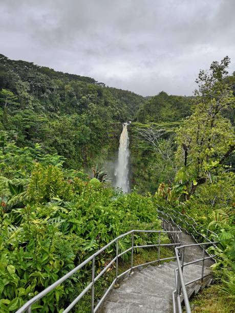 istock Waterfall on Big Island Hawaii 1272763870