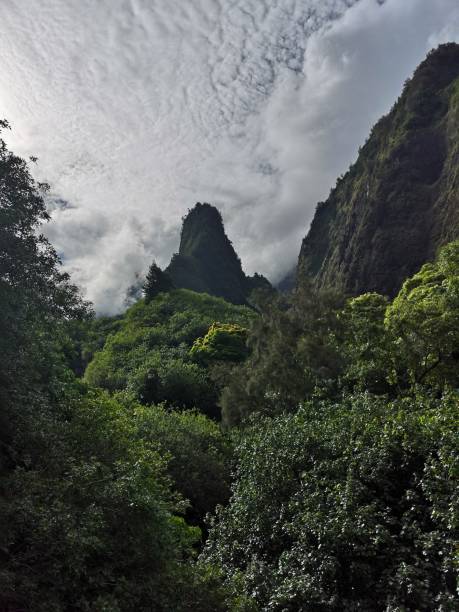 istock Naturpark in Hawaii 1272763901