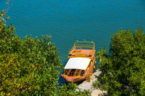 Skadar Lake National Park, lilies and water lilies in the water, bright sunny day and beautiful landscapes with mountains, boat and boat trip, nature and birds of Montenegro, tourism and travel