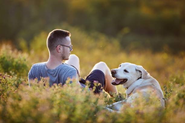 istock Man with dog lying on meadow at sunset 1272774082