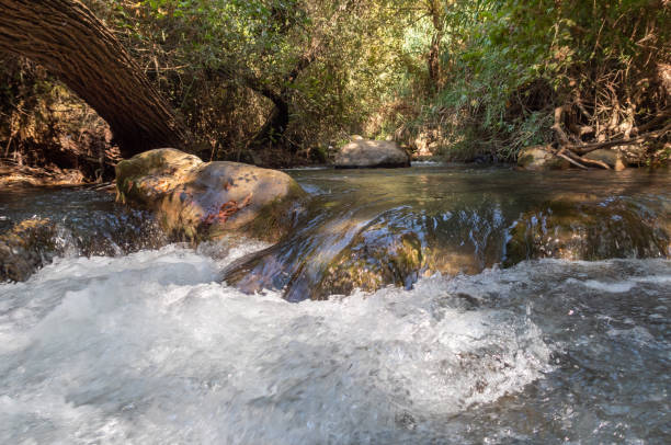 łóżko szybkiej górzystej rzeki hermon z krystalicznie czystą wodą na wzgórzach golan w północnym izraelu - travel israel day crystal zdjęcia i obrazy z banku zdjęć