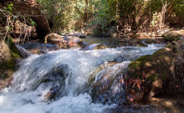 イスラエル北部のゴラン高原の透き通った海を持つ素早い山岳エルモン川のベッド - travel israel day crystal ストックフォトと画像