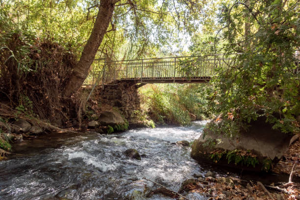 most nad szybką górzystą rzeką hermon z krystalicznie czystą wodą na wzgórzach golan w północnym izraelu - travel israel day crystal zdjęcia i obrazy z banku zdjęć