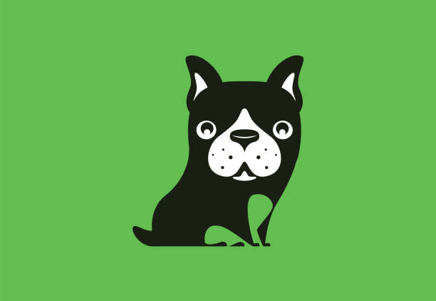funny dog icon vector illustration of funny french bulldog sitting dog sitting icon stock illustrations