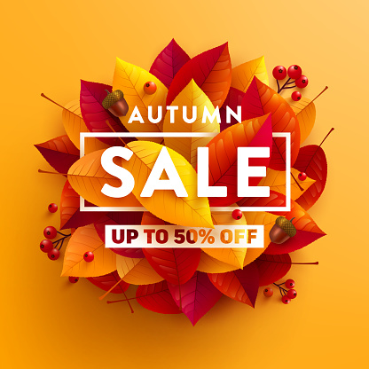 Autumn Sale poster or banner with autumn colorful leaves on yellow background.Greetings and presents for Autumn season.Vector illustration eps 10