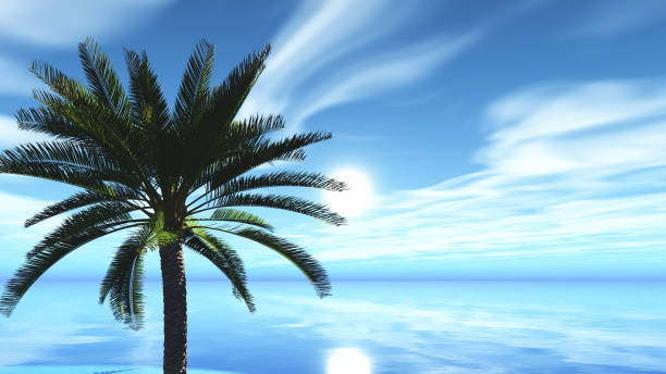 istock 3D tropical landscape with palm tree against ocean 1272776034