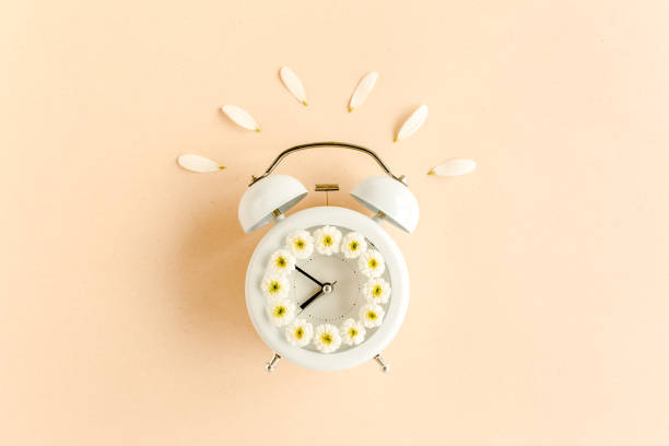 Composition-summer time from clock and chamomile flowers on beige background. Flat lay, top view
