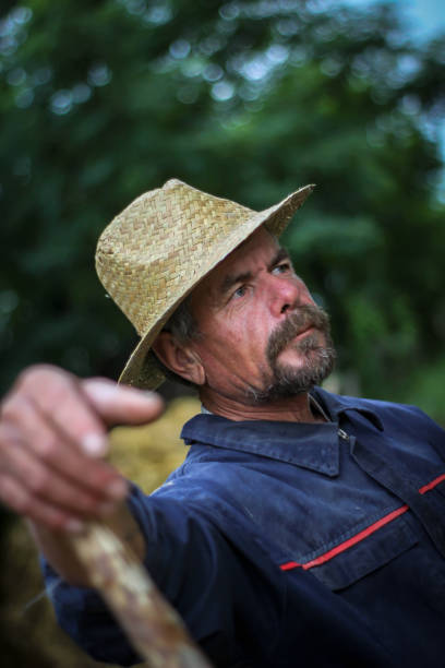 istock Portrait of mature man 1272777694