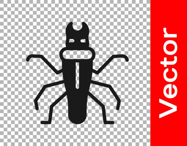 ilustrações de stock, clip art, desenhos animados e ícones de black termite icon isolated on transparent background. vector - ant underground animal nest insect