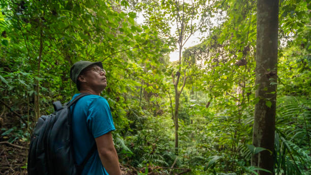 istock Man hiking in old forest 1272782980