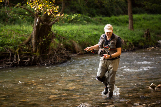 Professional fisherman fly fishing at sunrise on a mountain river. stock photo