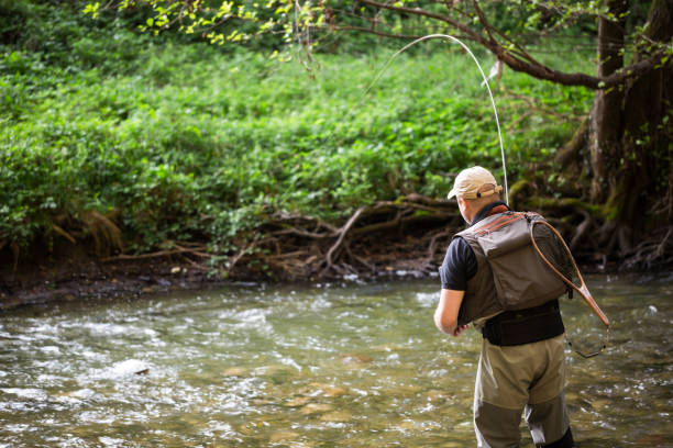 Professional fisherman fly fishing at sunrise on a mountain river. stock photo