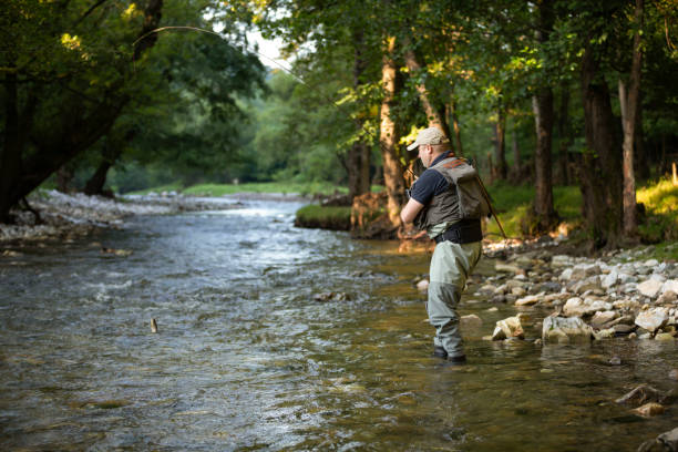 Professional fisherman fly fishing at sunrise on a mountain river. stock photo