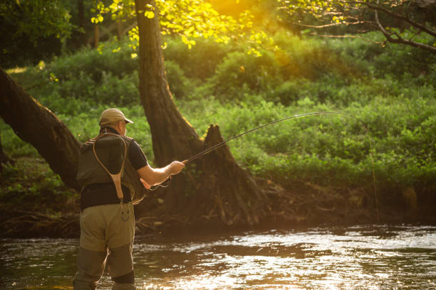 Professional fisherman fly fishing at sunrise on a mountain river. stock photo