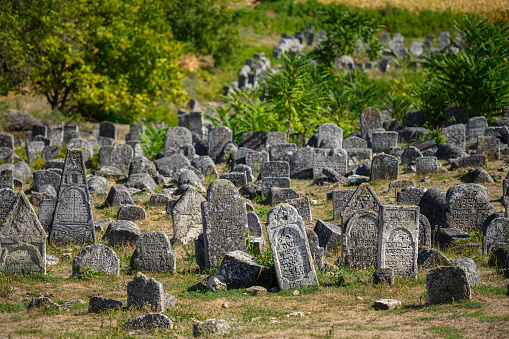 Old ruined tombstones at the cluttered ancient obsolete Jewish cemetery in Vadul liu Rascov in Moldova
