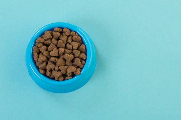 istock Blue round feeding bowl with dark brown heart shaped pet kibble on a blue background 1272786418