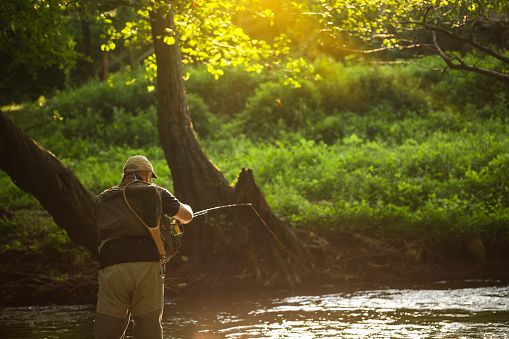 Professional fisherman fly fishing at sunrise on a mountain river.