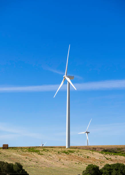 istock Wind wind turbine in the field 1272788409