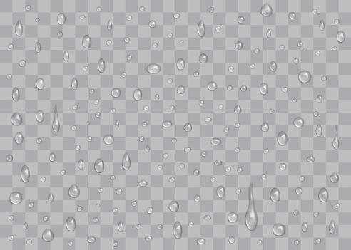 transparent water drops isolated on white background vector