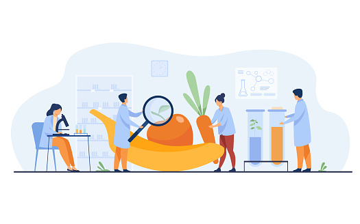 Biology scientists doing research on fruits. People cultivating plants in lab. Vector illustration for gmo food, agriculture, science concept