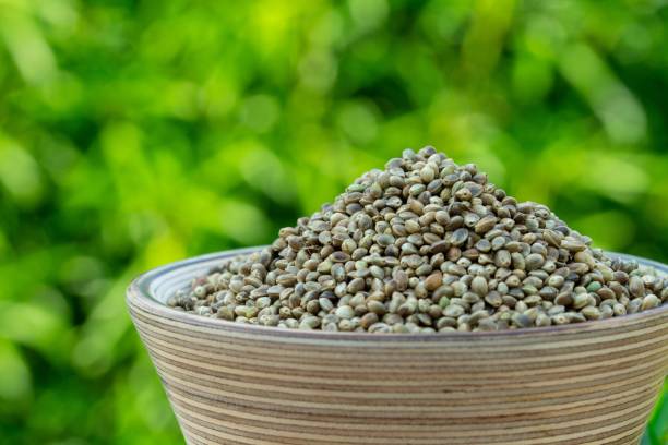 семена конопли в деревянной миске с зеленым фоном растения конопли - hemp seed nut raw стоковые фото и изображения