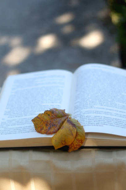 istock Book and Autumn Leaves 1272797142