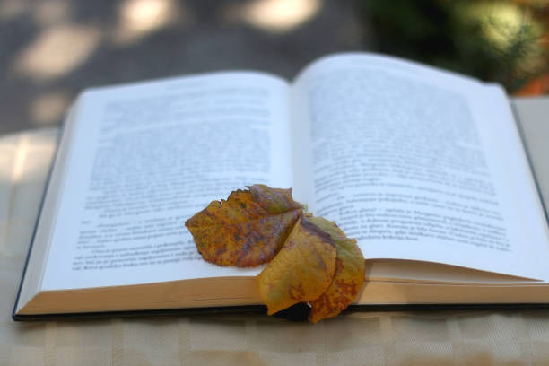 istock Book and Autumn Leaves 1272797156