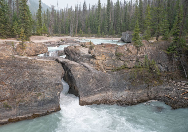 istock Natural Bridge at Field, British Columbia, Canada 1272801584