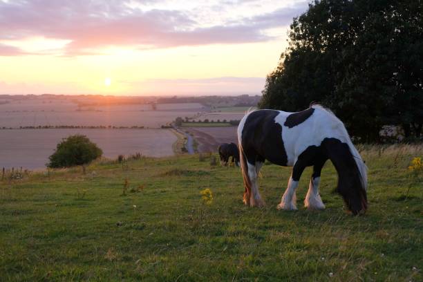 istock landscape at sunset at avesbury hill england 1272802375