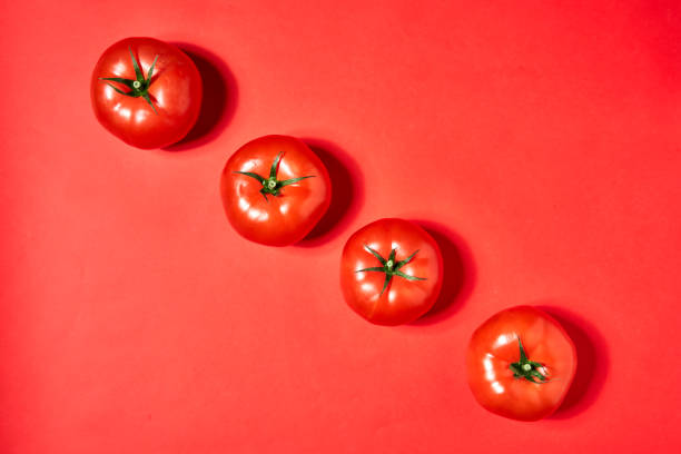istock Vegetables Concept Tomatoes on Colored Vibrant Background 1272805356