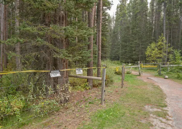 Electric bear fence and gate at Lake Louise, Alberta, Canada