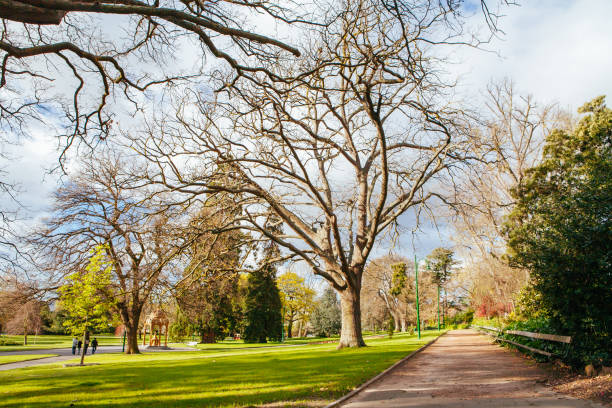 istock Launceston City Park Tasmania Australia 1272806437