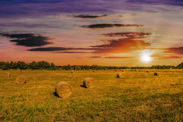 Landscape of field with bales of hay under dramatic cloudy sky at sunset with sun flare