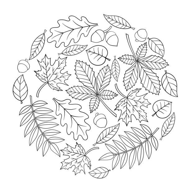 Coloring page with autumn leaves Coloring page with autumn leaves in the shape of a circle. Vector illustration for children and adults autumn coloring pages stock illustrations