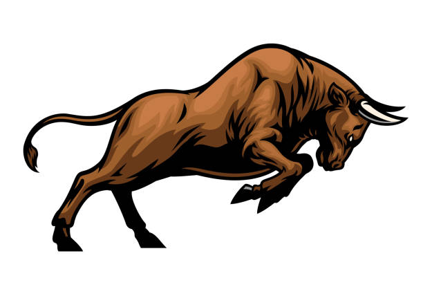 ilustraciones, imágenes clip art, dibujos animados e iconos de stock de gran toro muscular agresivo atacando - toro