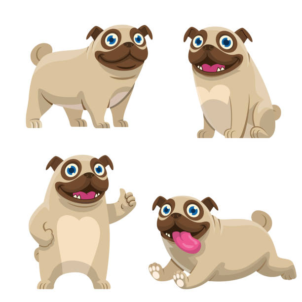 5,171 Happy Bulldog Illustrations & Clip Art - iStock | Happy bulldog on  white, Happy bulldog isolated