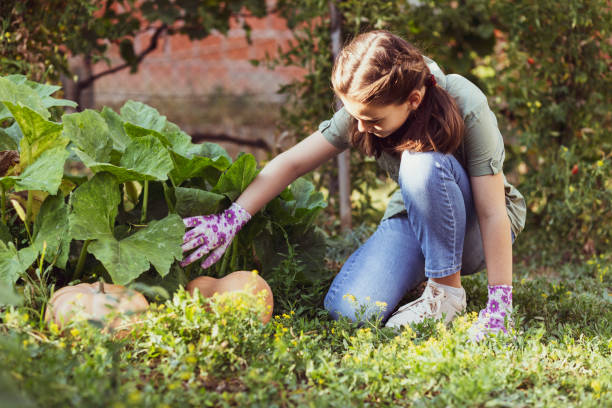 istock Happy on my organic farm 1272812126