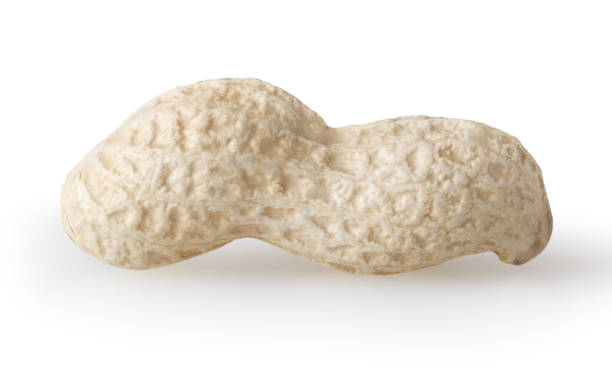 istock Raw peanut isolated on white background with clipping path 1272813398