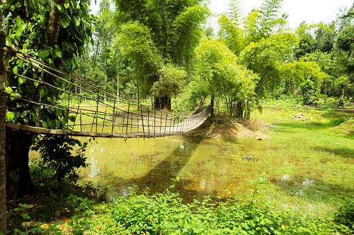 Suspension bridge over water pond inside the forest.