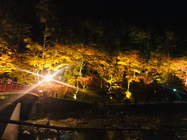 istock Illumination of autumn leaves 1272818748