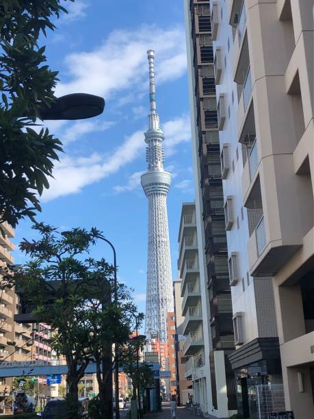 istock Presence of my beloved Sky Tree 1272820699