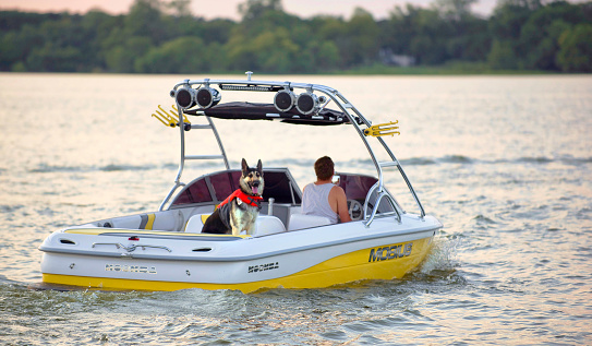 Arlington,Texas - Sept.15,2020  A boater on Lake Arlington taking his best friend/dog for a late afternoon ride durning this COVID-19 Pandemic times. Notice the dog is wearing a lifejacket.