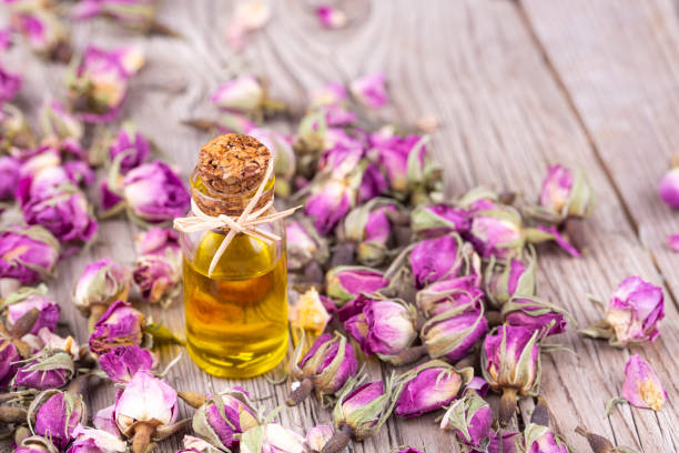 istock Dried roses and dried rose essential oil 1272826086