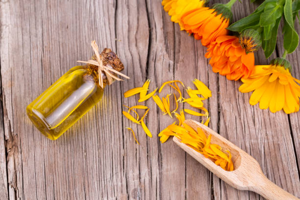 istock Calendula flower essential oil 1272827587