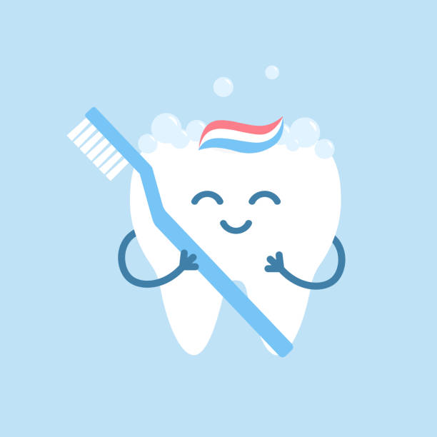 stockillustraties, clipart, cartoons en iconen met gelukkige beeldverhaaltand die een tandenborstel houdt - teeth