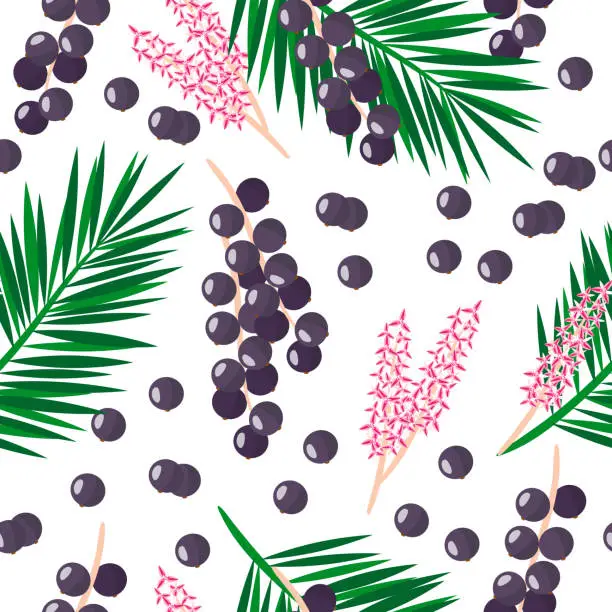 Vector illustration of Vector cartoon seamless pattern with Euterpe oleracea or Acai palm exotic fruits, flowers and leafs on white background