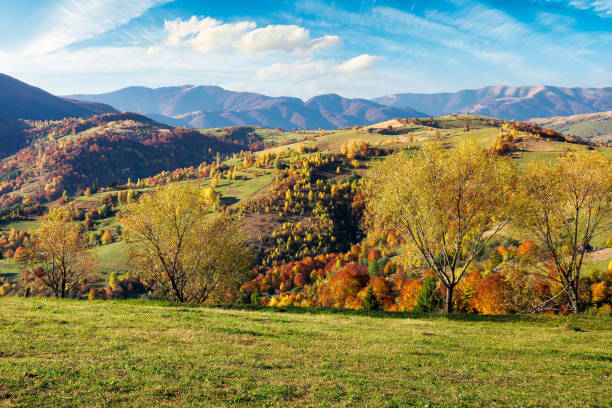 istock mountainous countryside scenery on a sunny day 1272831365