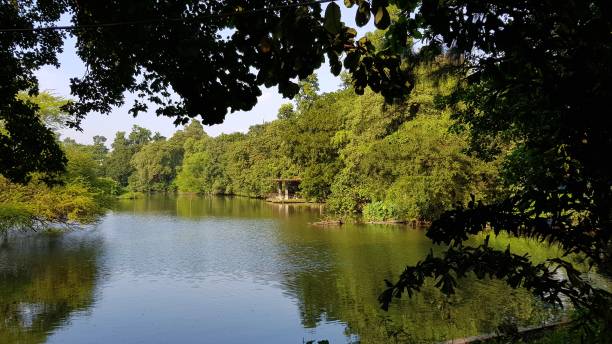 istock A lake within the Indian Jungles 1272833759