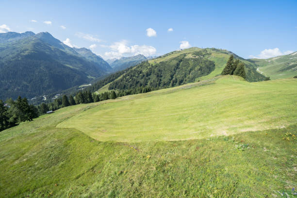 istock Idyllic summer landscape in the Alps 1272835392