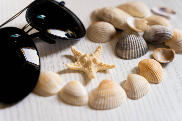 Sea, shells and glasses, sea star beach vacation